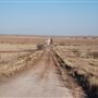 Charlie Road
