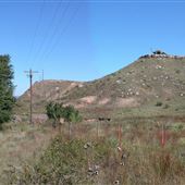 Dinosaur (Dino) on State Highway 60