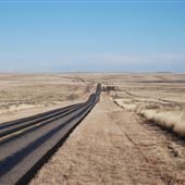 State Highway 354