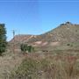 Dinosaur (Dino) on State Highway 60