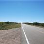 FM 2381