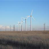 Wind Farm on FM 293