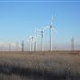 Wind Farm on FM 293