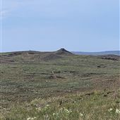 Blue Ranch