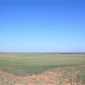 Fields off FM 2889 East of Claude