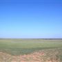 Fields off FM 2889 East of Claude